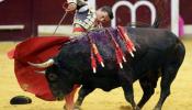 El PP impondrá que el toreo sea bien de interés cultural tras blindar el Toro de la Vega