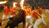 Animalistas alertan que declarar al toro bien de interés cultural será un desprestigio para España