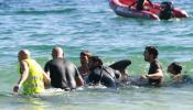 Mueren al menos once calderones varados en la costa de Galicia