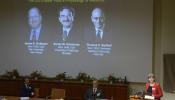 Dos estadounidenses y un alemán comparten el Nobel de Medicina