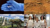 El ADN humano más antiguo, agua en Marte y otros logros de la ciencia española