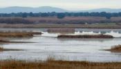 1.102 hectáreas más de Parque Nacional en las Tablas de Daimiel