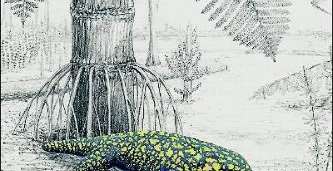 La salamandra gigante que dio el salto a la tierra