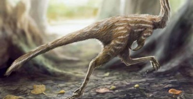 Hallan en China un dinosaurio correcaminos