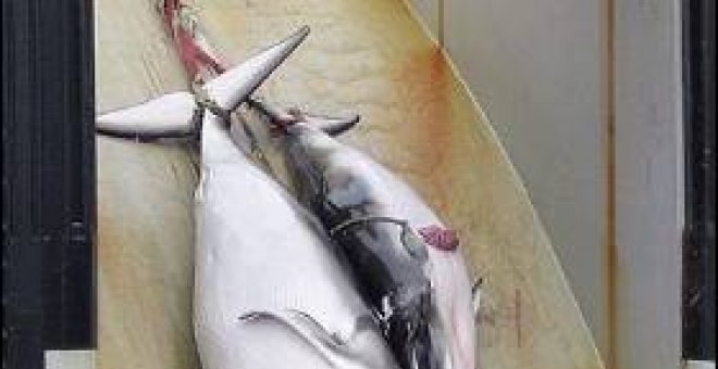 Japón vende carne de ballena protegida para hacer sushi