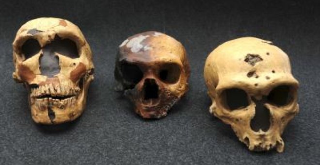 Los neandertales siguen 'vivos'
