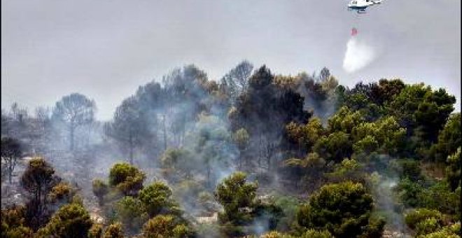 Galicia, Navarra y Madrid, a la cola en prevención de incendios