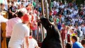 Los animalistas piden alejar a los niños de las fiestas taurinas