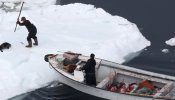 La Justicia de la UE anula el veto al comercio con focas