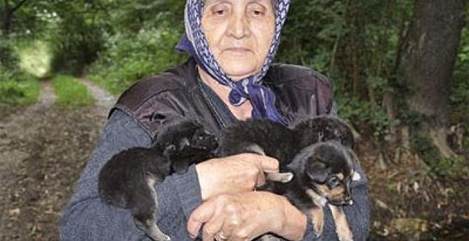 Una yaya bosnia asegura haber rescatado a los cachorros del río