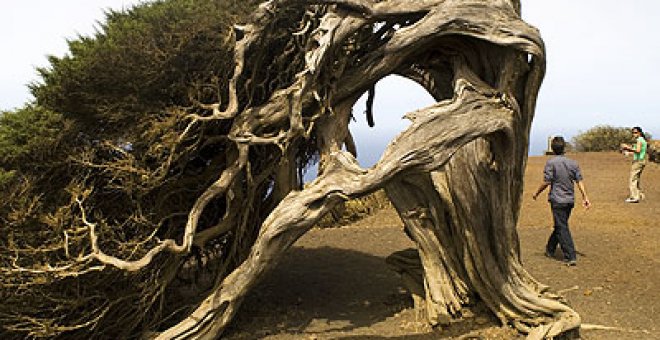 El ADN bimbache de El Hierro