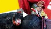 El Senado rechaza una moción del PP para proteger los toros