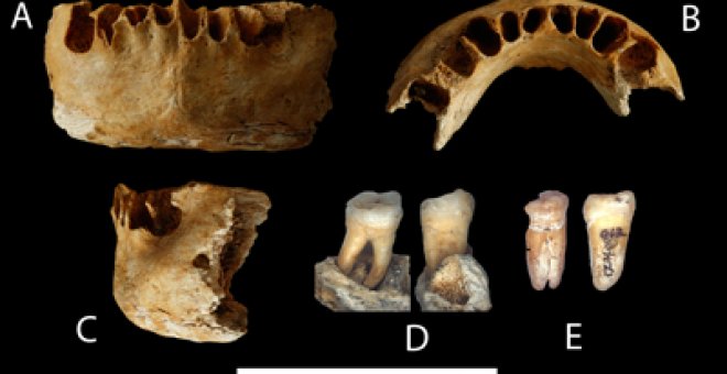 El primer humano fuera de África