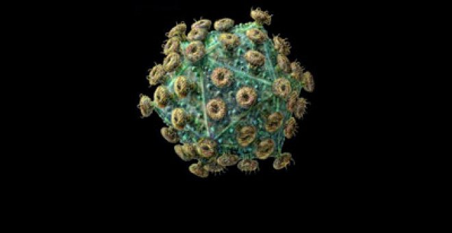 Un método forense rastrea la fuente de un contagio de VIH