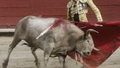 El TC admite el recurso del PP contra la prohibición de toros