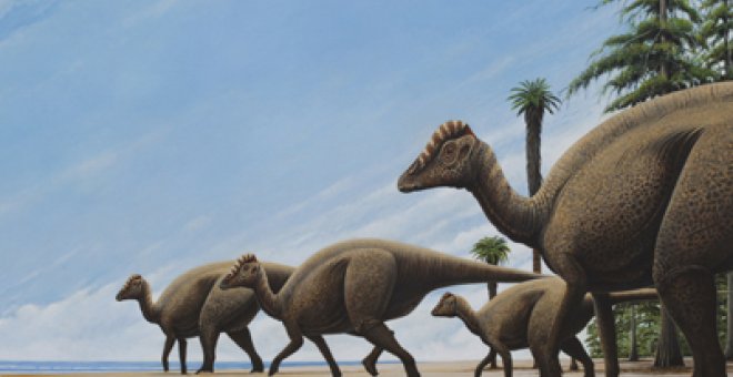 Hallada en Huesca una especie de dinosaurio que emigró desde Asia