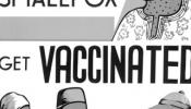 Un pacto para eliminar la viruela