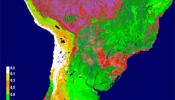 La NASA constata la sequía récord que sufrió el Amazonas en 2010