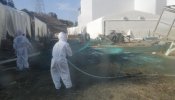 Hallados muertos dos trabajadores de Tepco en Fukushima