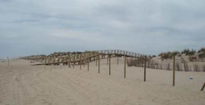 Los accesos a las playas ponen en riesgo las dunas