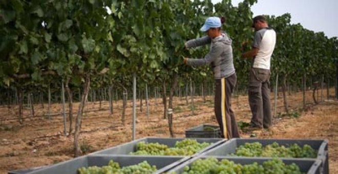 El Gobierno creará un subsidio para los trabajadores del campo