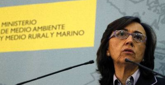 Rosa Aguilar rechaza responsabilidades de la derrota de IU en Córdoba
