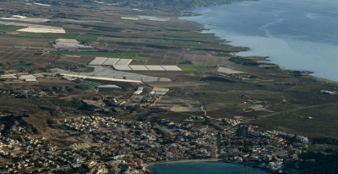 El ladrillo devoró cada hora 6.500 m2 de bosque