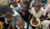 Las ONG exigen a la FAO voluntad política para acabar con el hambre