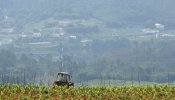 Vino sin alcohol para paladares exigentes