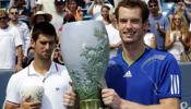 Una lesión retira a Djokovic de la final de Cincinnati