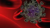 La vacuna española del sida supera su primer examen