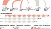 España, líder en tratamientos de fertilidad