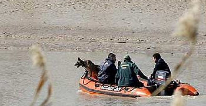 Los buzos realizan inmersiones en puntos marcados por perros