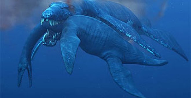 El mayor depredador del mundo surcó los mares y pesó 45 toneladas