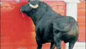 Rivas Vaciamadrid también suprime los toros en fiestas