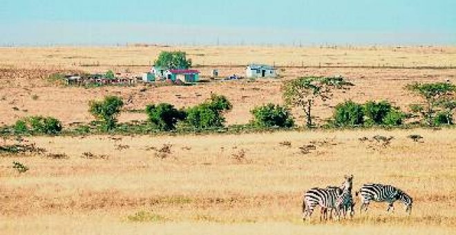 El icono de la fauna de África se queda sin jirafas