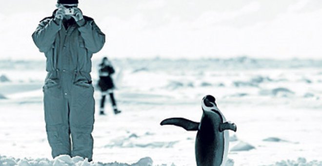 Los visitantes introducen 200 especies intrusas en la Antártida