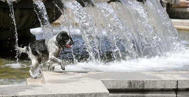 El intenso calor pone en alerta amarilla a seis provincias