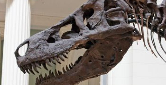 La autopsia de un T-rex culpa a un parásito actual