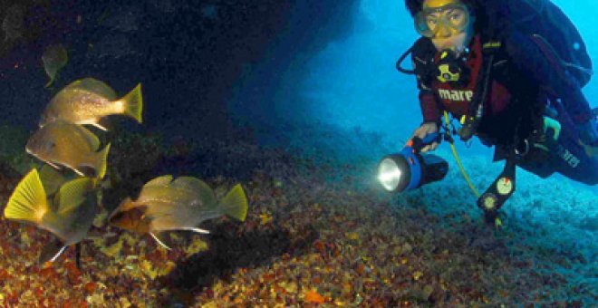 Formentera retrata sus fondos marinos