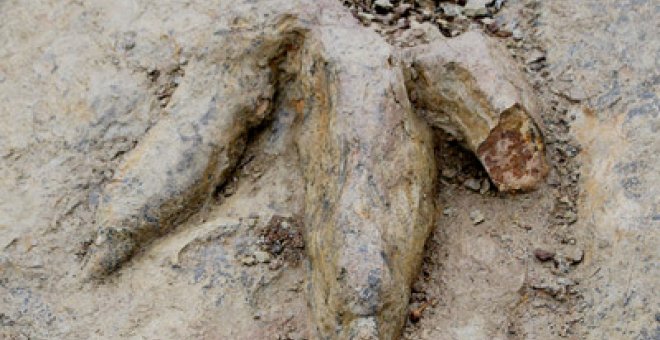 La Unesco juzga las huellas de los dinosaurios ibéricos