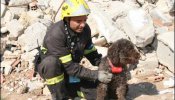 El GPS europeo guiará a los perros de rescate