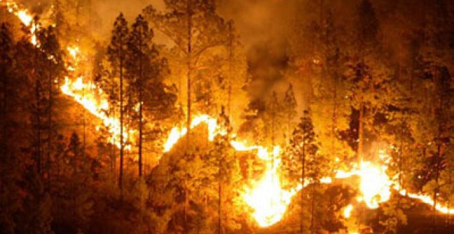 La superficie arrasada por incendios se ha duplicado en 2009