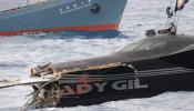 Se hunde un barco de ecologistas tras chocar con ballenero nipón en la Antártida