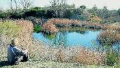 Madrid asfixia un oasis natural en su periferia