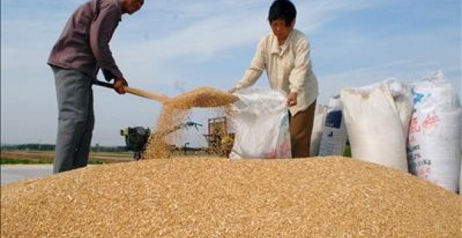 La ONU advierte de que el uso de biocarburantes puede hacer crecer el número de hambrientos