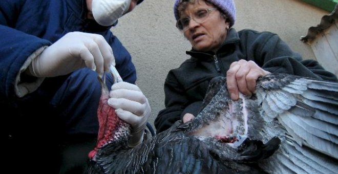 Vacunan a la población tras confirmar un brote de gripe aviar H5N1 en el sureste de Rumanía