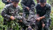 Mueren tres soldados en una emboscada de rebeldes musulmanes en Tailandia