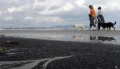 Los ecologistas denuncian una nueva marea de combustible en la bahía de Algeciras