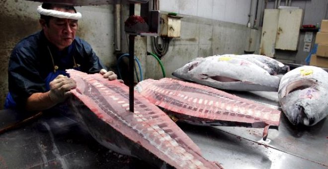 El primer atún subastado en Tokio en 2008 alcanza los 55.180 dólares
